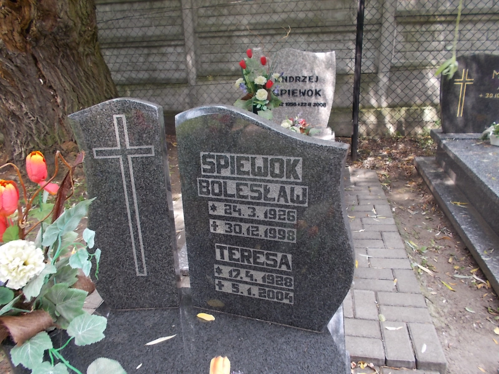 Bolesław Śpiewok 1926 Rybnik Popielów - Grobonet - Wyszukiwarka osób pochowanych